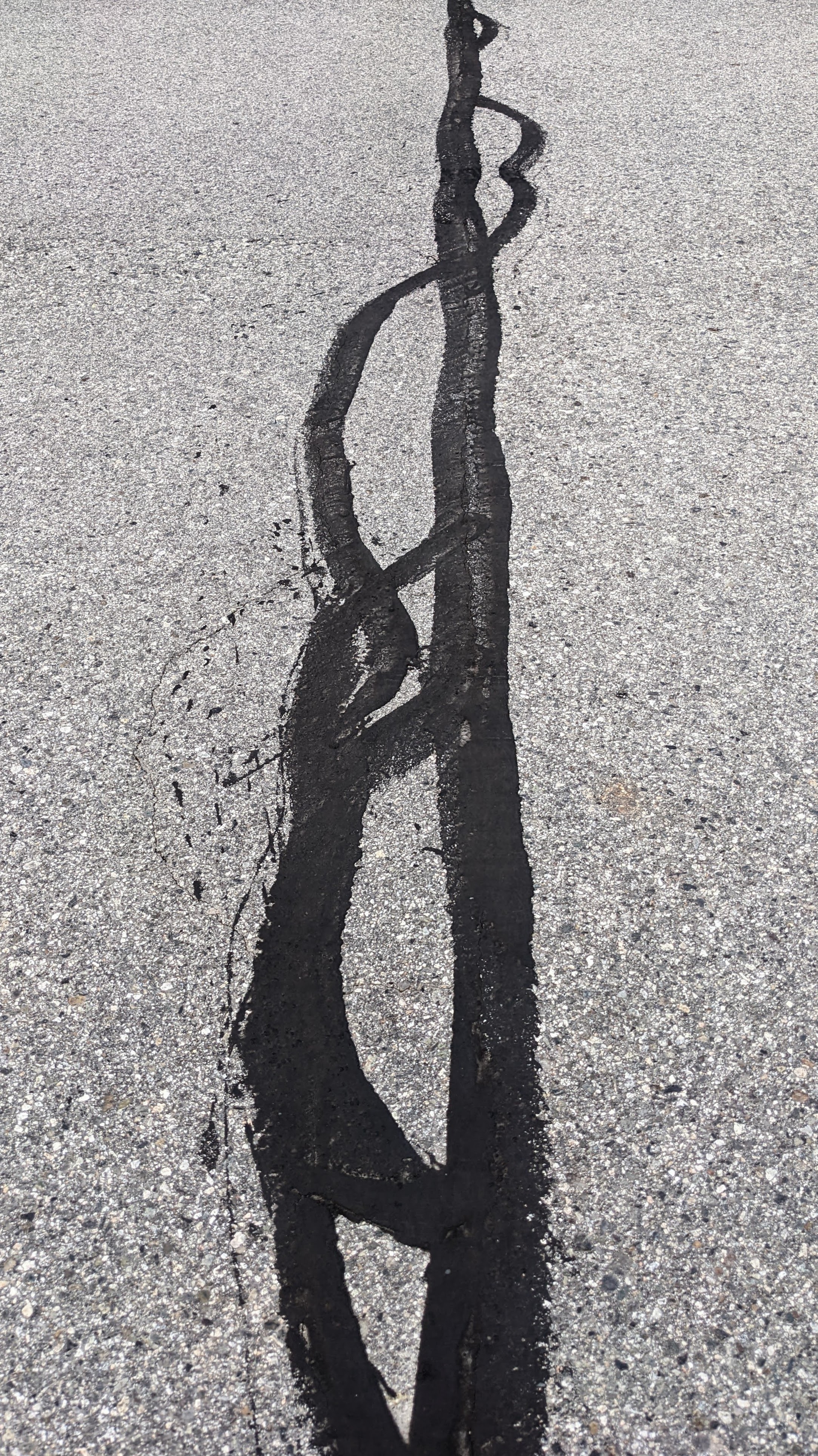 (re)membering lines; a project by Tatiana Zakharova-Goodman