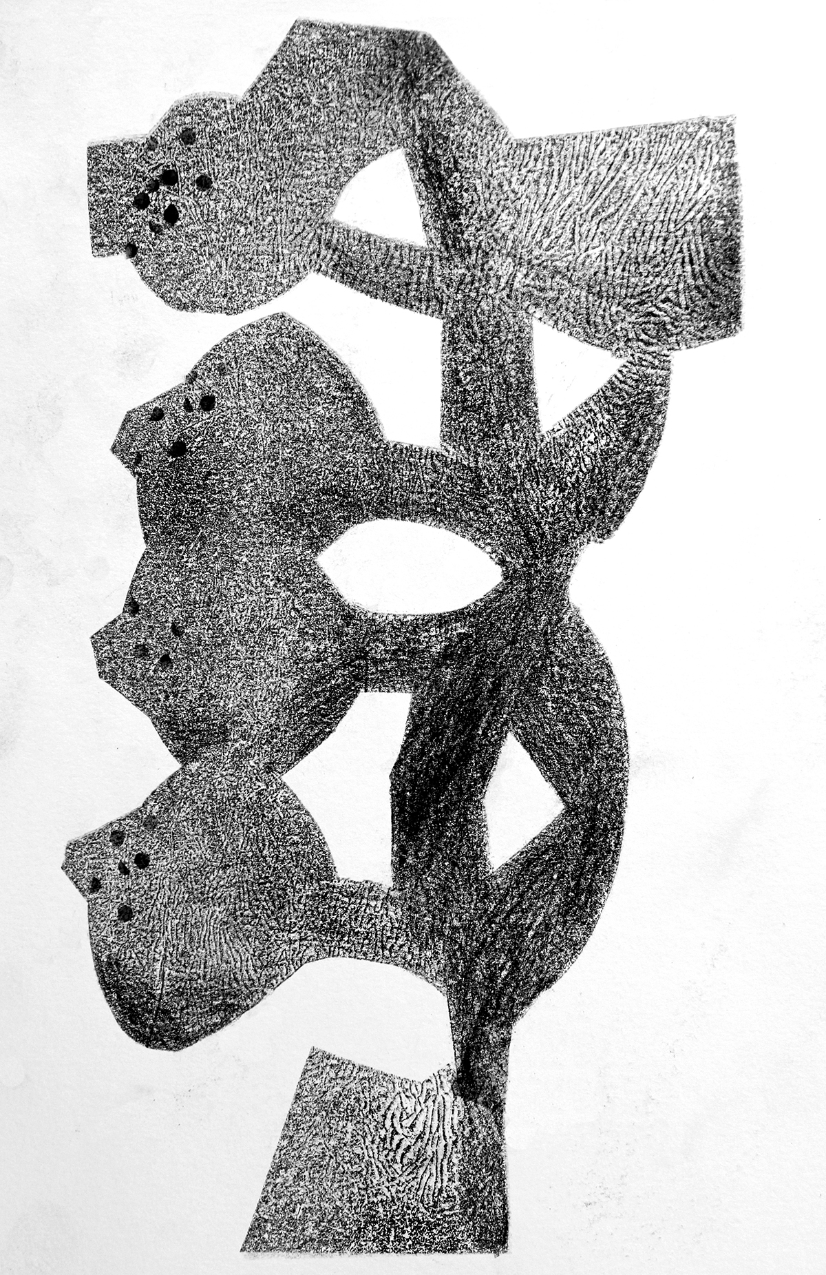 carbon paper drawings by Tatiana Zakharova-Goodman, inspired by botanic photography of Karl Blossfeldt