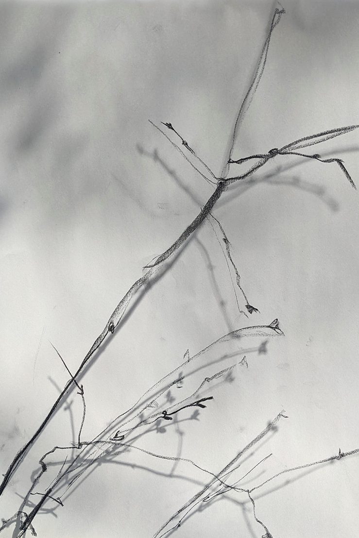 (re)membering lines; a project by Tatiana Zakharova-Goodman