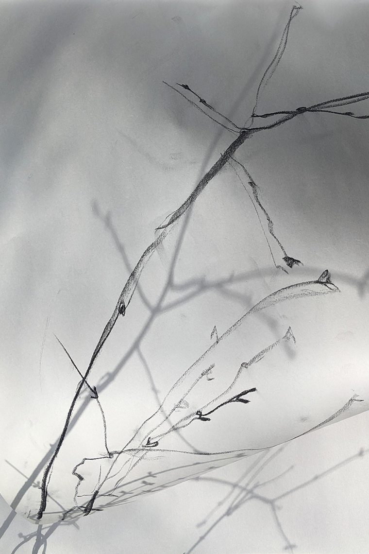 (re)membering lines; a project by Tatiana Zakharova-Goodman