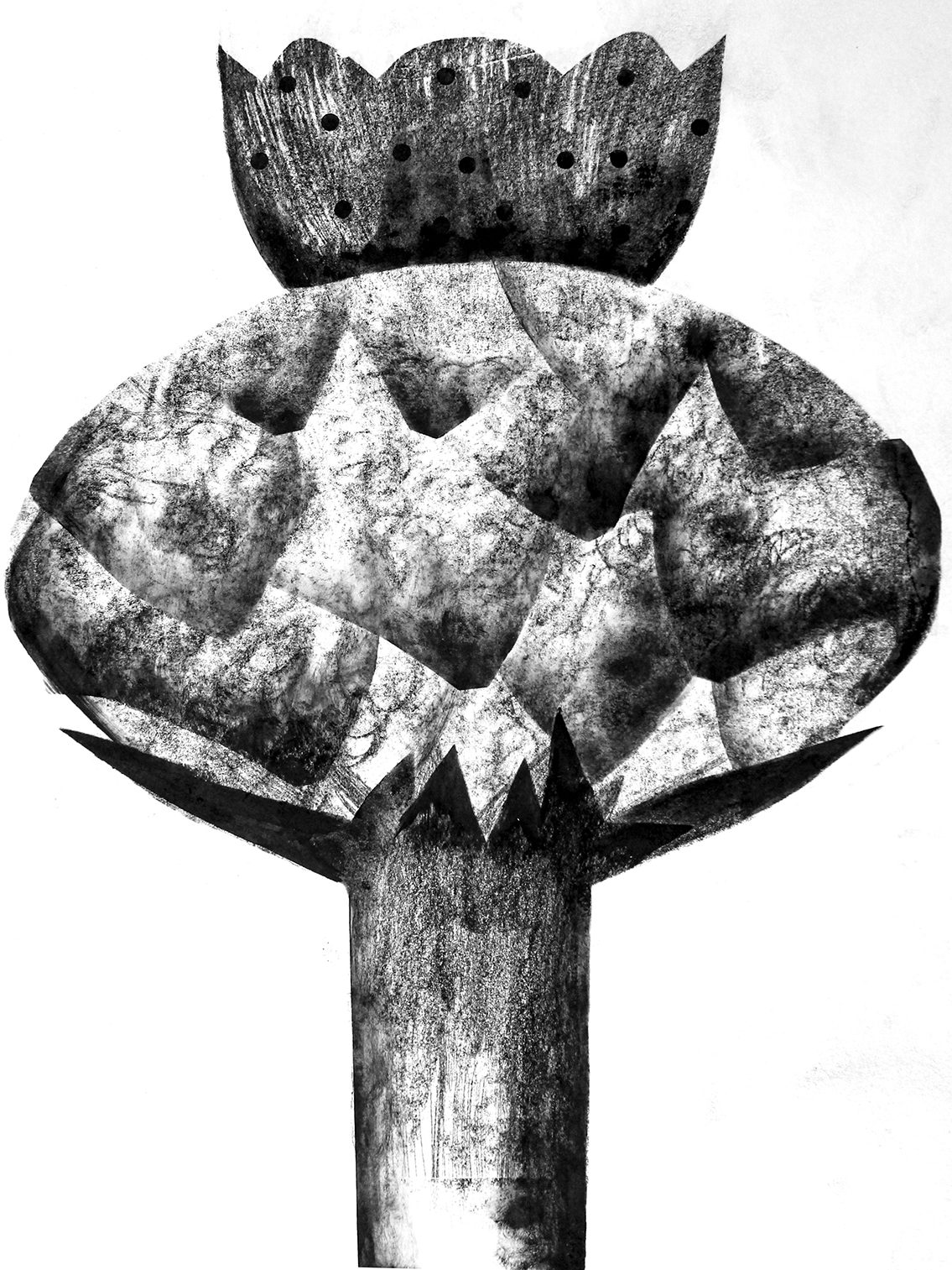 carbon paper drawings by Tatiana Zakharova-Goodman, inspired by botanic photography of Karl Blossfeldt