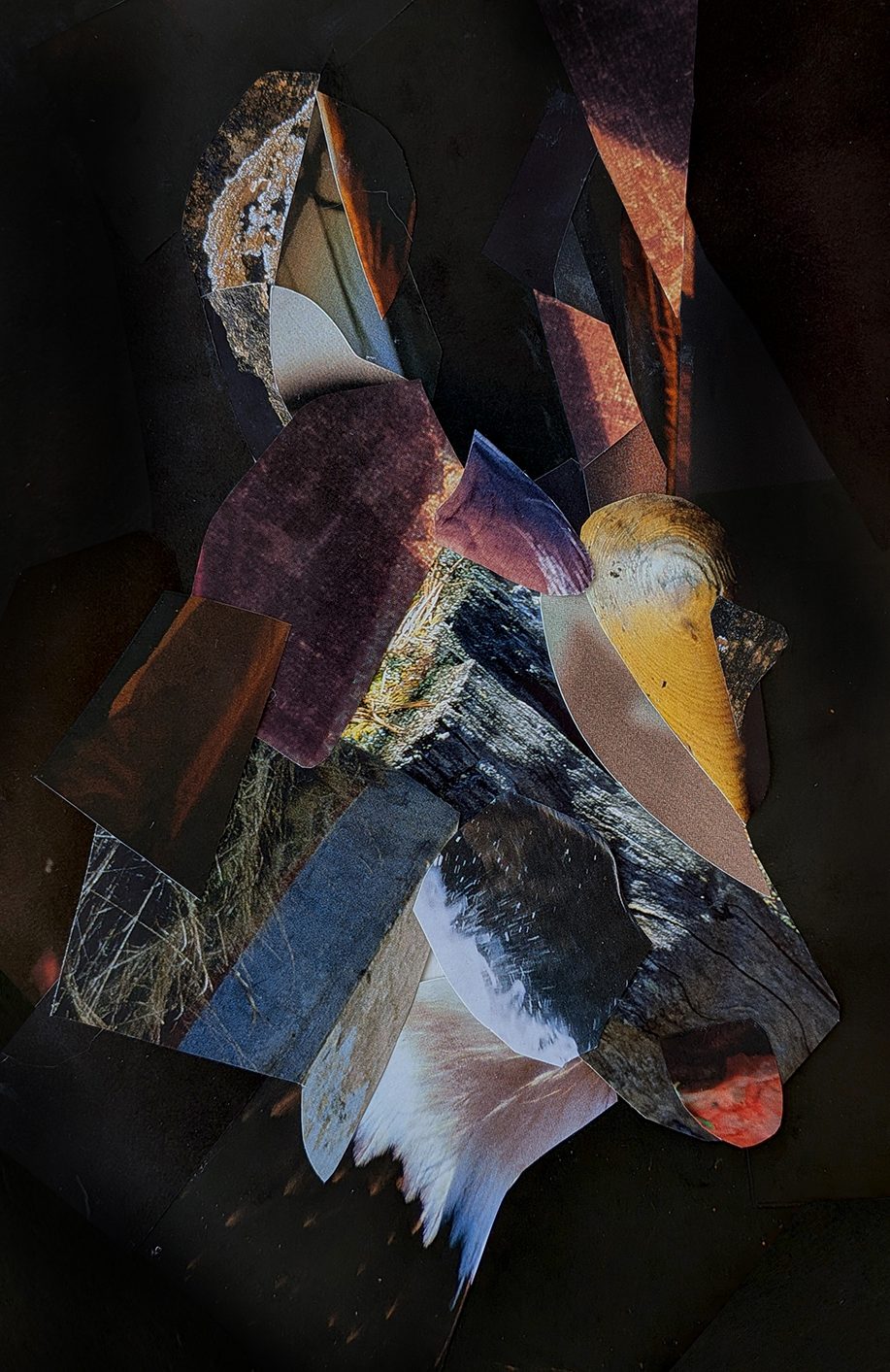 photograph of a paper collage by Tatiana Zakharova-Goodman; working with the question of how one might utilize the colalge technique as a kind of painting, here, featuring a head of a dog