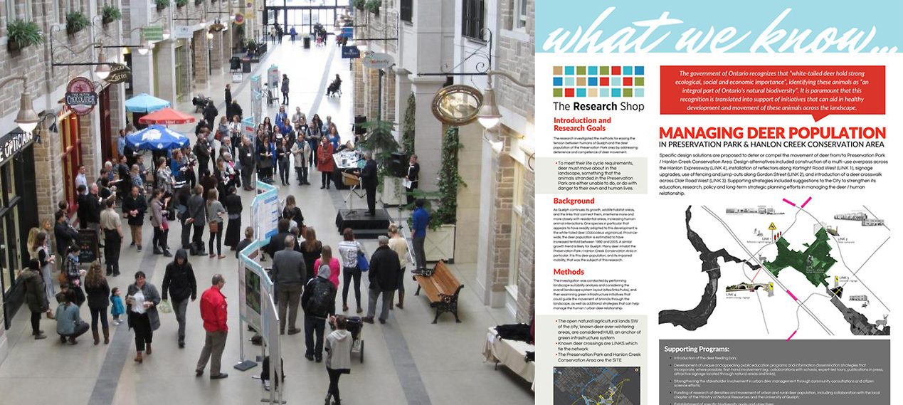 Landscape architecture; project ideas by Tatiana Zakharova-Goodman; community-focused project