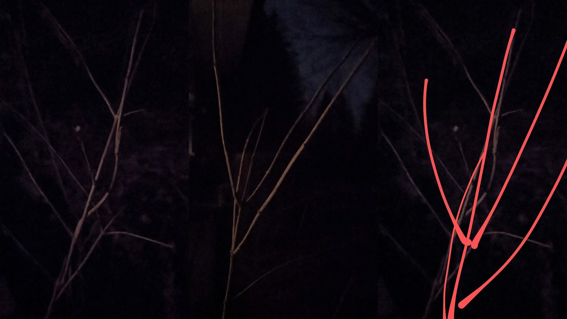 (re)membering lines; a project by Tatiana Zakharova-Goodman