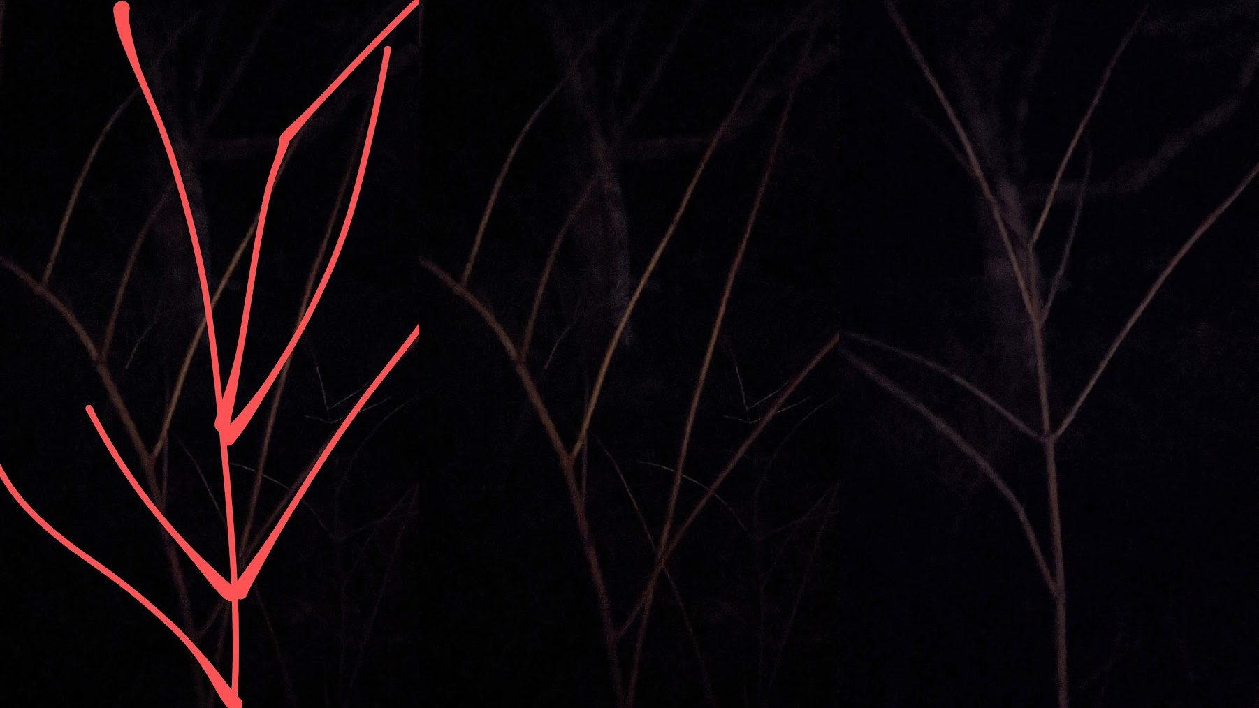 (re)membering lines; a project by Tatiana Zakharova-Goodman